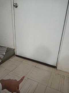 files/1722490651__wrwe__original.jpg